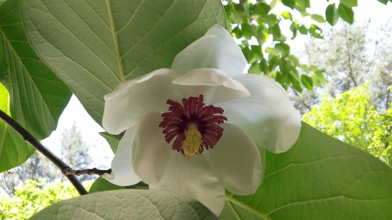 246C374D591FF57C30AB92