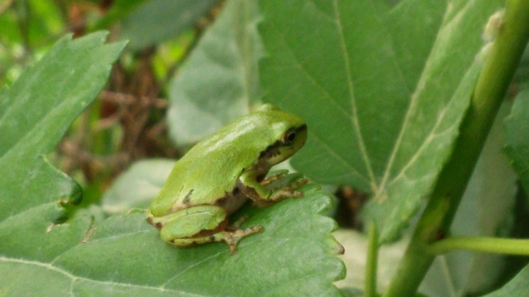 2473984B56B026E92D32D5