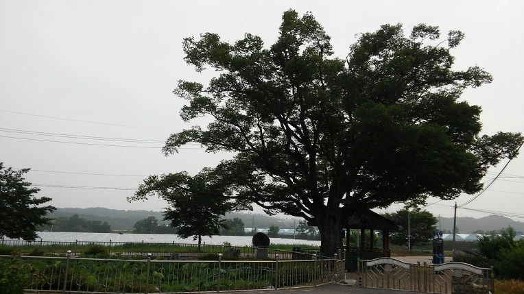 262602355767502F0C554F