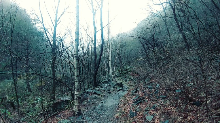 9995963A5E7D5D08329575