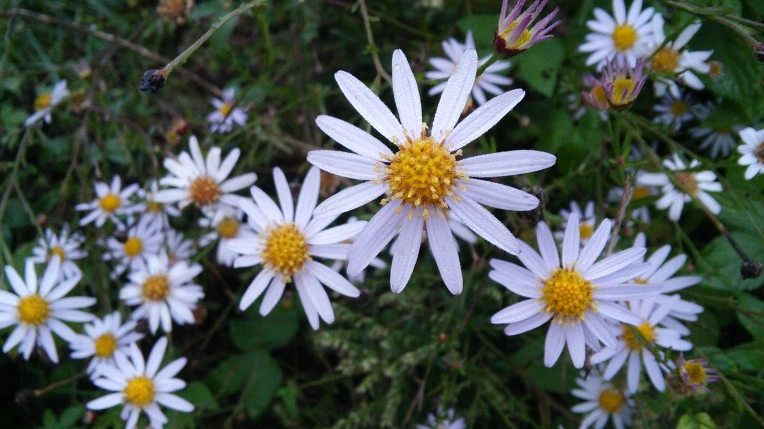 252B114A57E701CE1E5F13