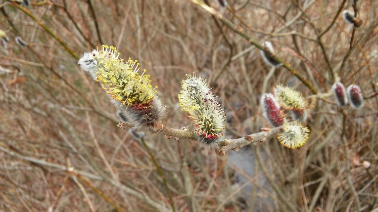 2301445058D5FFD72567A6