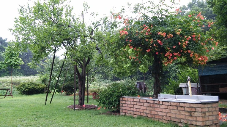 264A6A435777071E0DB301