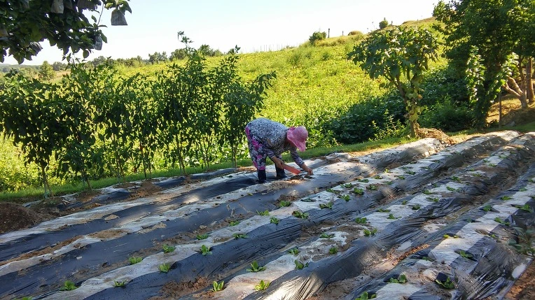 2674024C57C0F654082839