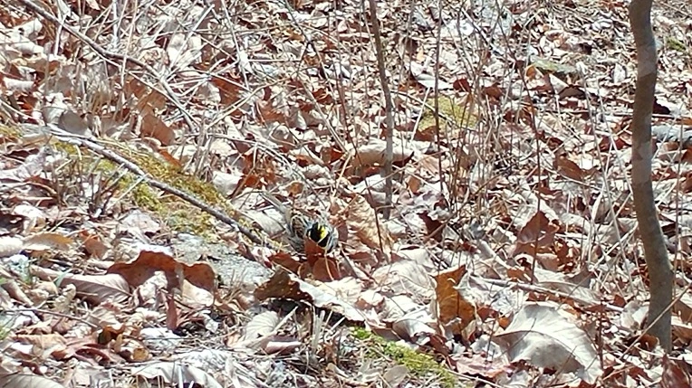 992510485AC8A2271E4139