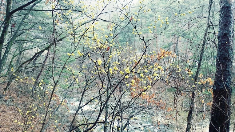 9994BA3A5E7D5CFE32CB92