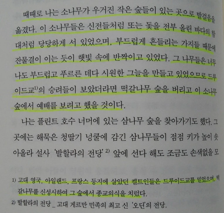 235ED0495771F4472CD4EC