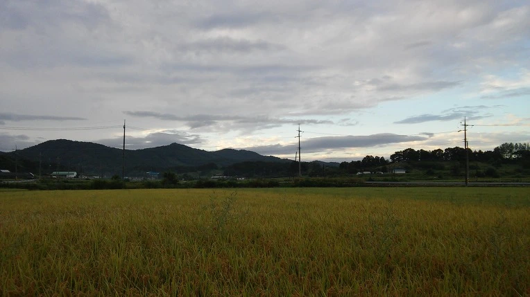 22478D4057C399EB1137BA