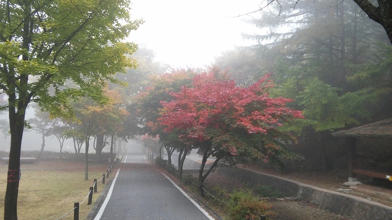 2369643A5625E5410FC2CA