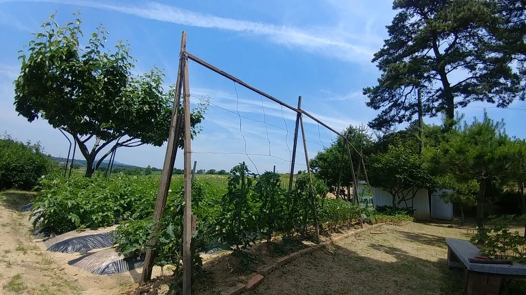 99402D355B137B4113ECBC