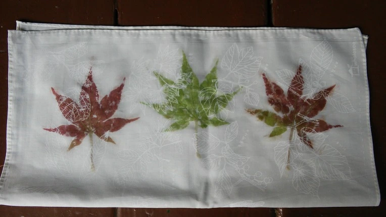 2426483C5620A6662BBE0A