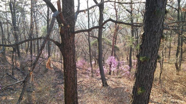 2513DF485703669F2E02E4