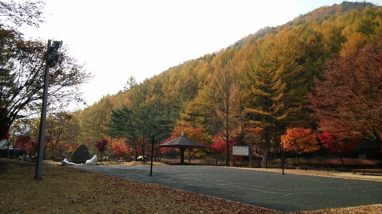 27167748563C46441EC1C4