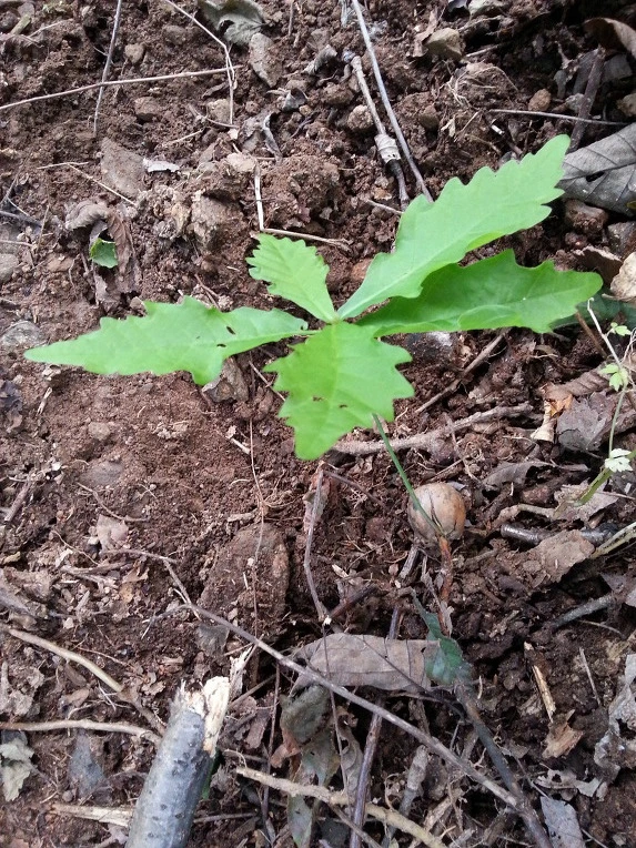 997AC8345D7495C31D8435