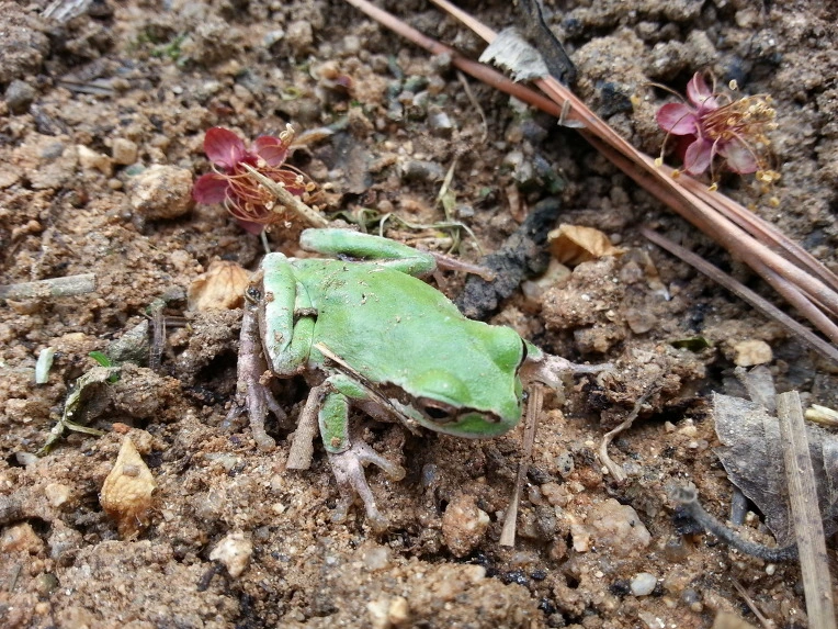 2179424B56B02A30394ACE