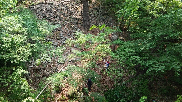 213B7A38592B40C21CF98D