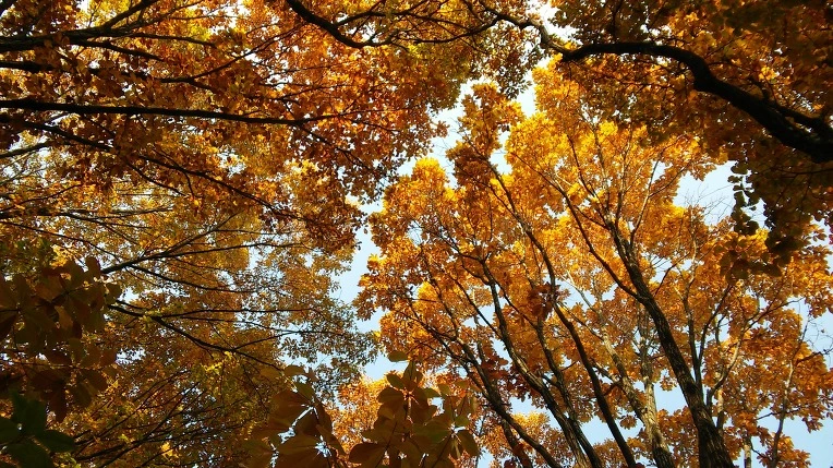 273DA83E5854DEEC08F780