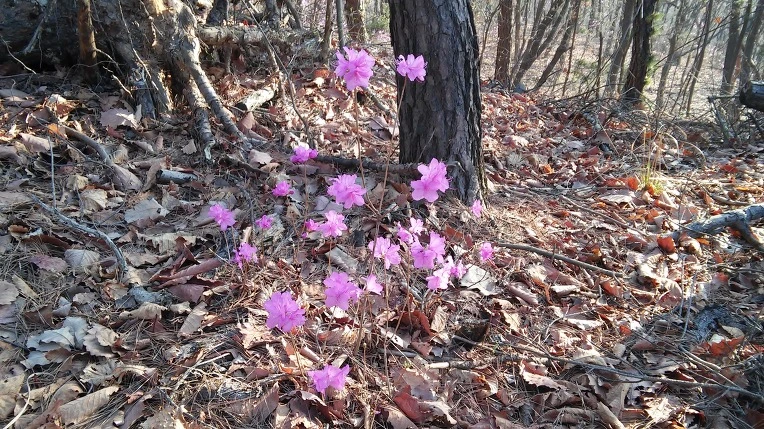 2155CC505703669C1CE497