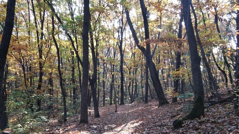 273E39435854DF2F0A5856