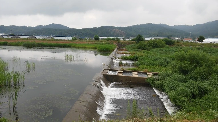 23122C3B576CFBBF12F229