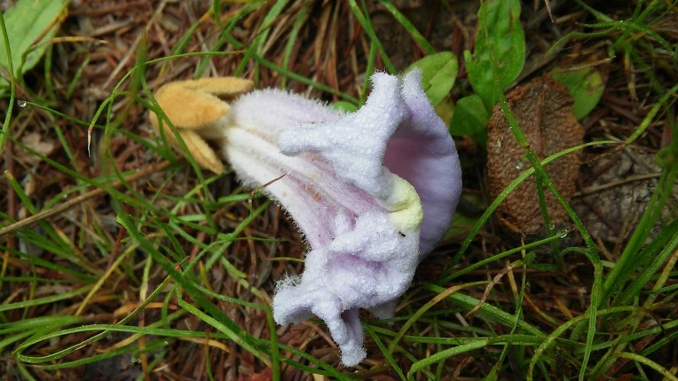 2634684759155DCE367F8E