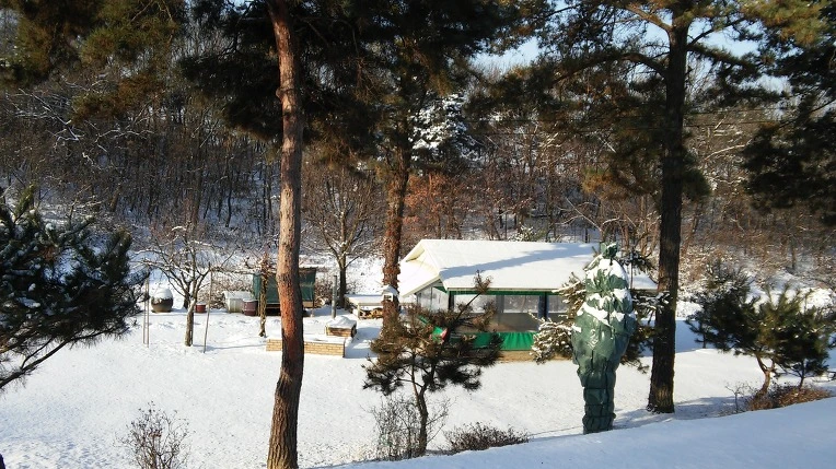 2264FC35588403A50D10E6