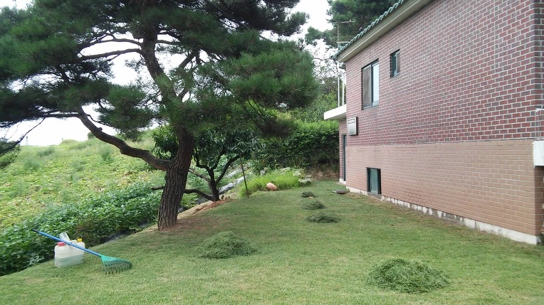 221C4F4157B27ECF1BABA6