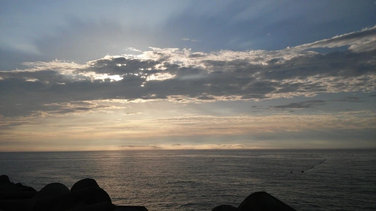 276C633D594998780BAACC