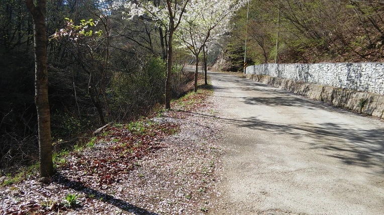 234D3A3758FBF7C7370D83