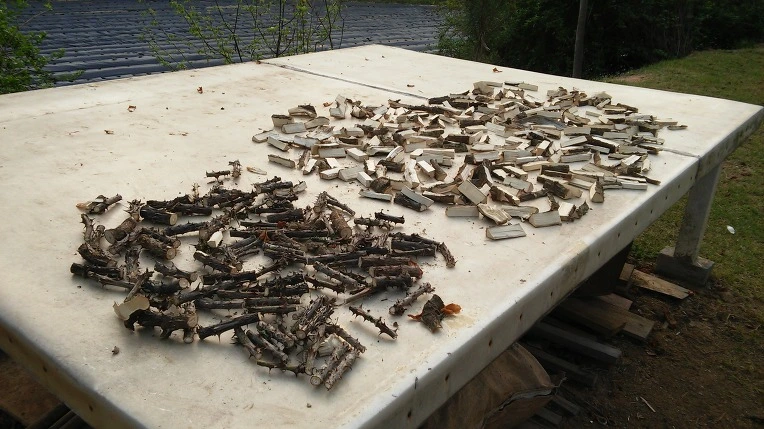 2660043B571DF4572F8D9A