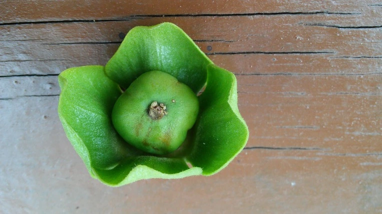 265EE4485971370D0B99E1