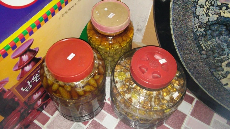 2326B43D5768A72D23ED5D