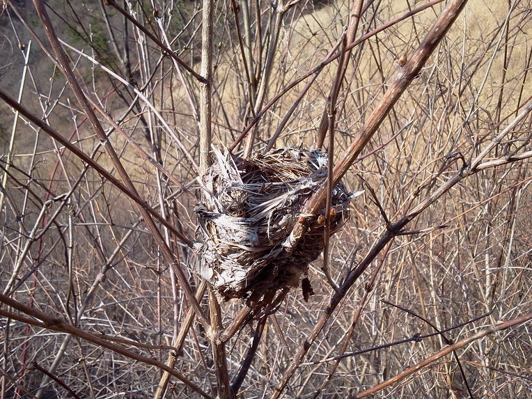 167EBE435157850528FCD9