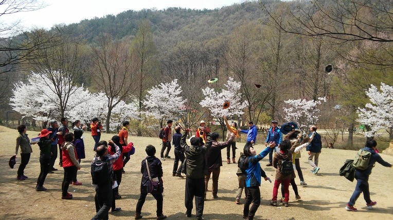 2546D34D57096A7A25AF31