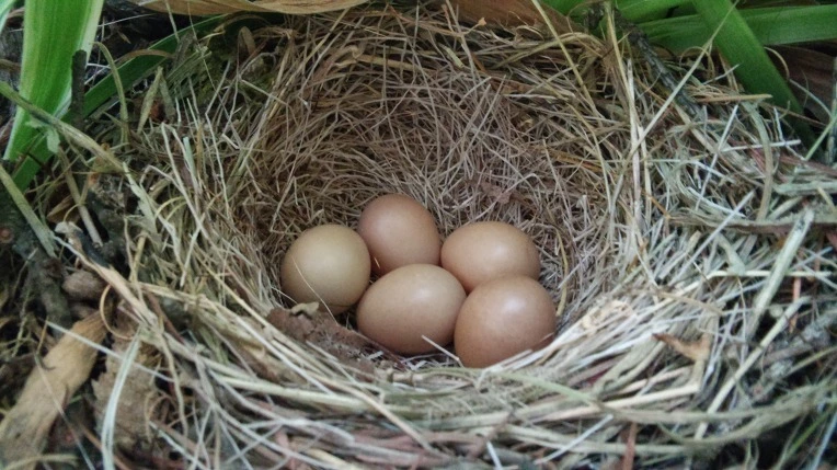 1dvXZNaaEMJ5k1cwXBxQlE0GkuY