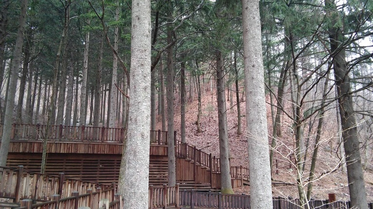 2542453C56EB9B9A336ED6