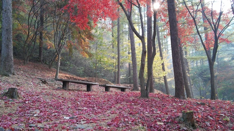 2256383656399E2A1B9F8C