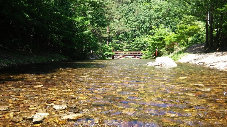 2141313659220FB728C02B