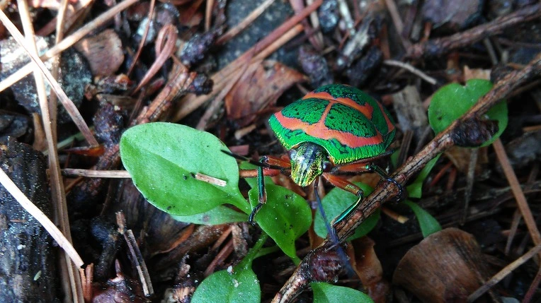 2418583D59300A500C12E4