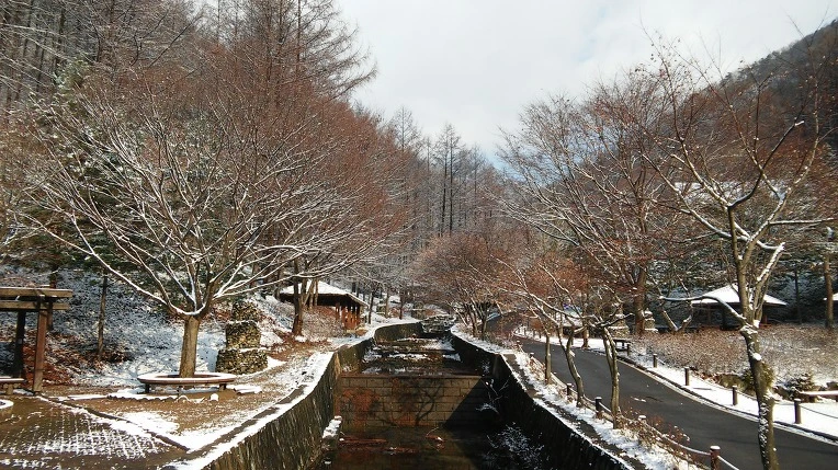 274681355656A64D033E02