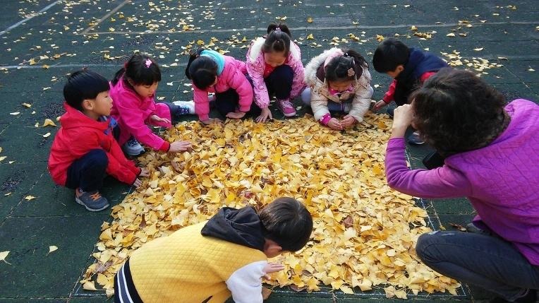 227AD93A5631ACDA30EE51