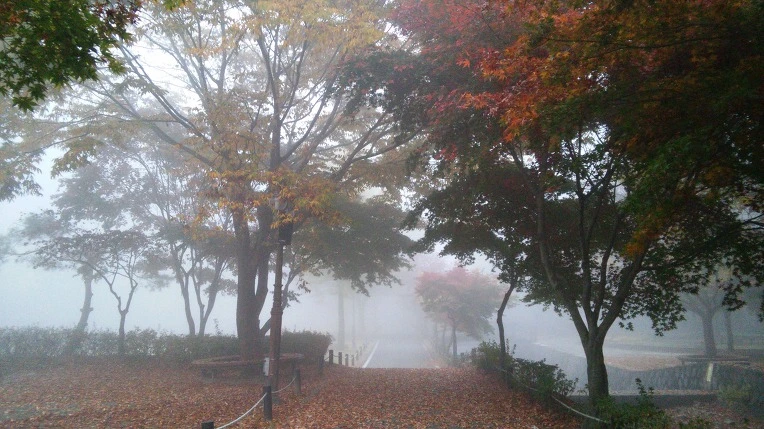 2351C84556281E053236FE