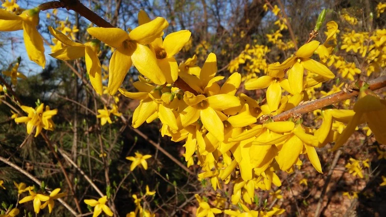 263ACB48570366A30AA329