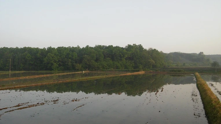 23503037572E66C11958AE