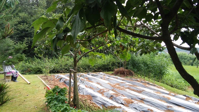 2145DC4557B9237A03D575