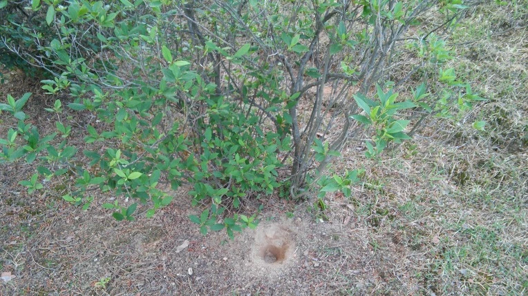 2432E544574D38412A4511