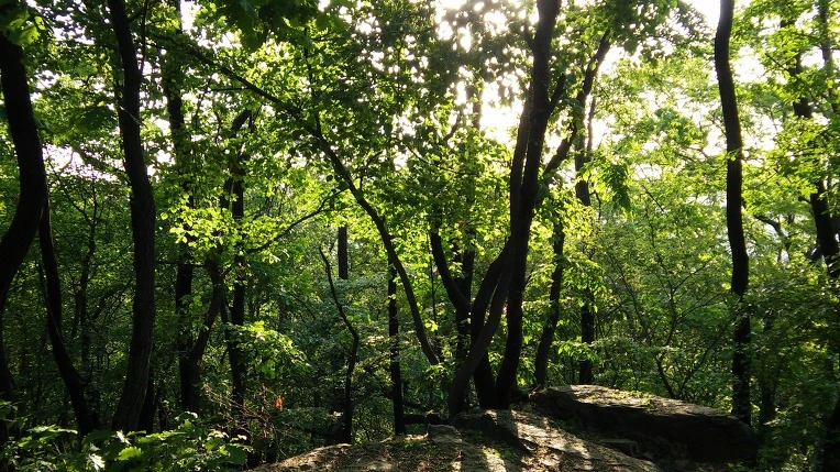 2250194B57292CE823823A