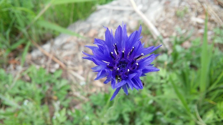 23678148572561C00230ED