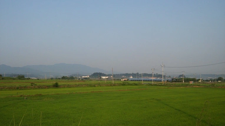 247A3F365599A0E90C4723