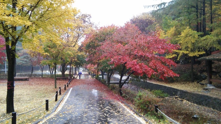 2318DB39562F1EFE24854F